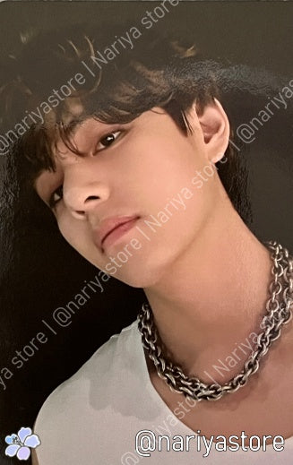V | Festa Calendar D-6
