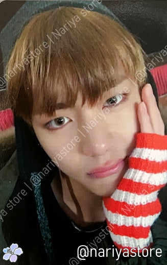 V | You Never Walk Alone