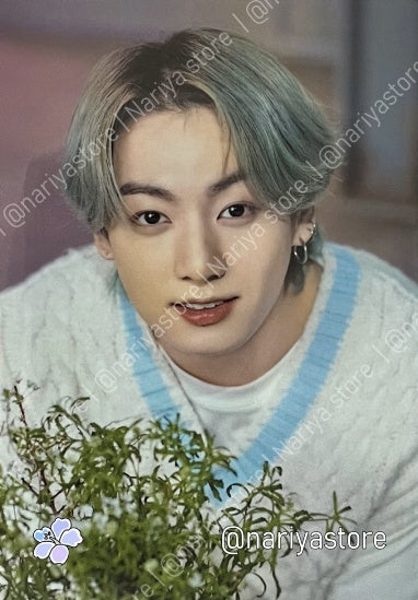 Jungkook 3/8 | BTS 2021 Muster Sowoozoo