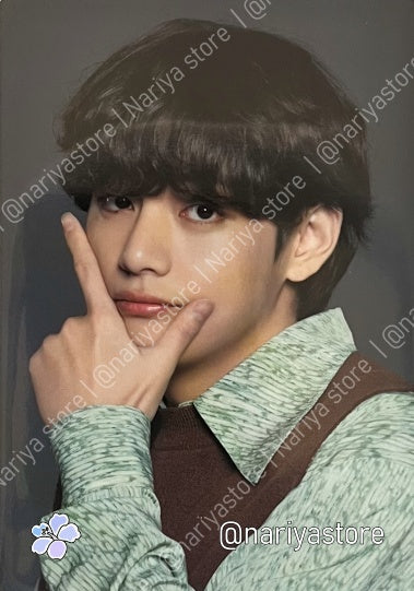 V 8/8 | BTS 2021 Muster Sowoozoo